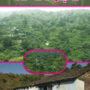 Mera Goan Ediya